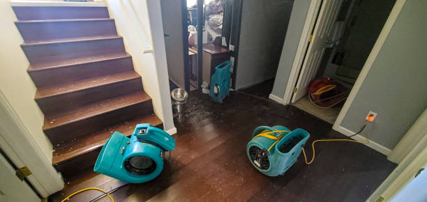  Lindenhurst, IL Water damage restoration Pros