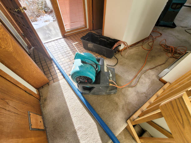 Best Water damage restoration insurance claims  in Lindenhurst, IL