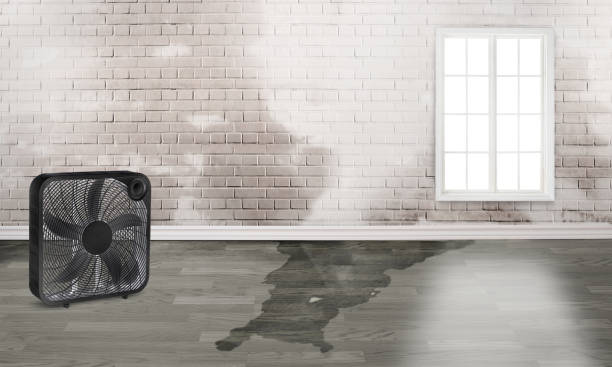 Best Flooded house restoration  in Lindenhurst, IL
