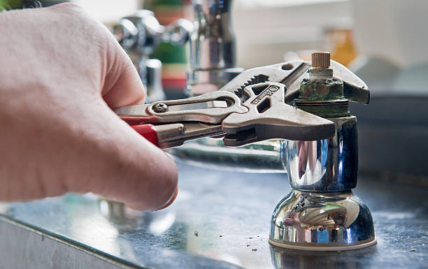 Best Flooded house restoration  in Lindenhurst, IL