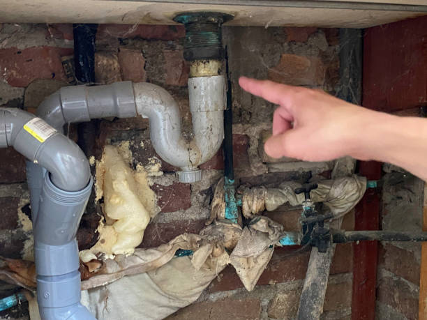 Best Water damage restoration cost  in Lindenhurst, IL