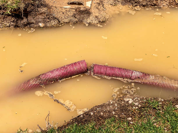 Best Mold removal after water damage  in Lindenhurst, IL
